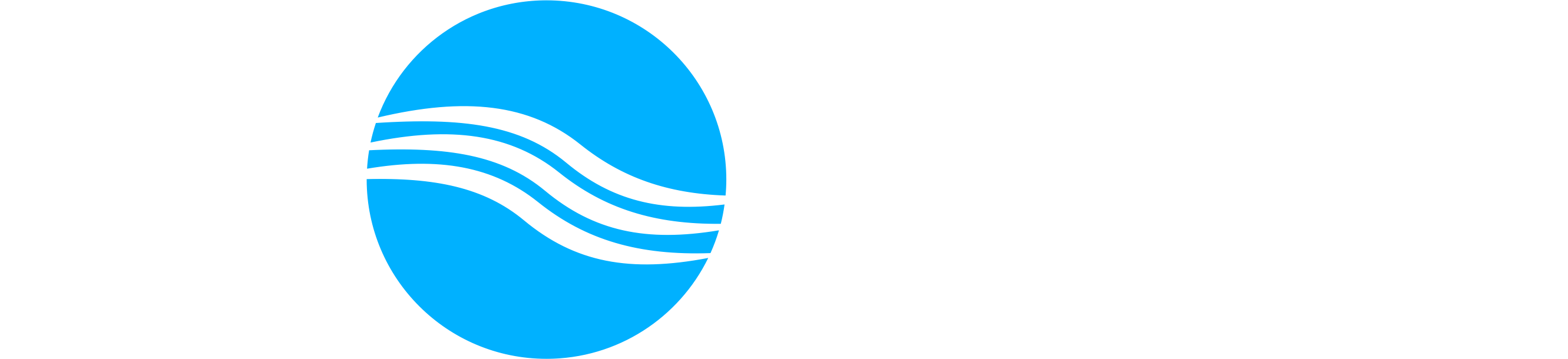 INOWAS research group